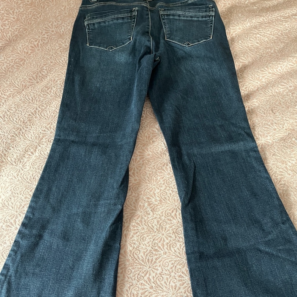 Democracy “Ab” technology (elastic waistband on the inside) button up jeans.